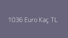 1036 Euro Kaç TL? 1036 Euro € Ne Kadar? Güncel